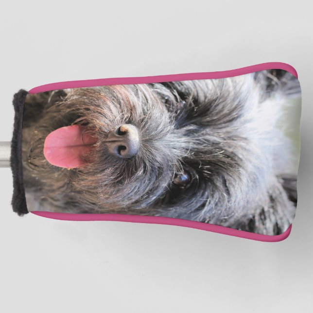 schwindlig golf headcover (Vorderseite)