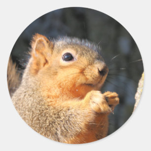 schwindlig runder aufkleber