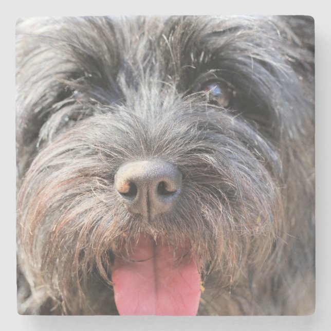 schwindlig steinuntersetzer (Vorderseite)