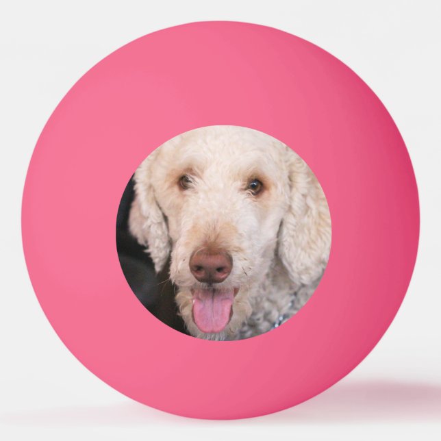 schwindlig tischtennisball (Vorderseite)