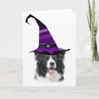 Schwindliger Dogz~Border Collie Karte