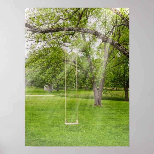 Schwingen im Sonnenlicht Poster (Vorne)