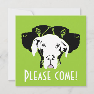 Schwitzt Great Dane Gesichter Doggenhaus Einladung