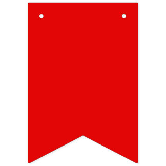 Schwul-Trans-Stolz-Wimpelgirlande-Banner Wimpelkette