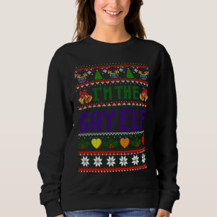 Schwuler Elf Regenbogenflagge Schwuler Stolz Schw Sweatshirt