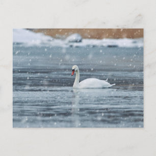 Schwung bei den schneebedeckten Winterbedingungen  Postkarte