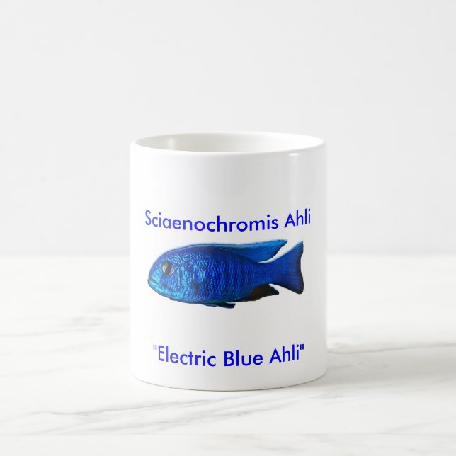 Sciaenochromis Ahli, Kaffeetasse (Mittel)