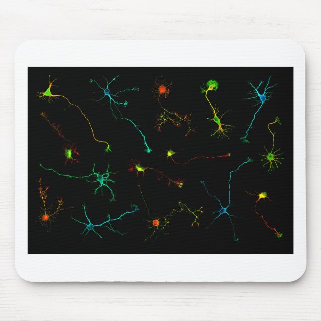science mousepad (Vorne)