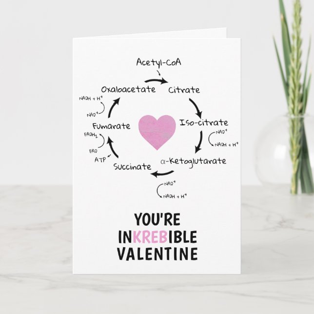 Science Valentine Krebs Zyklusbiologie Herzgeek Feiertagskarte (Vorderseite)