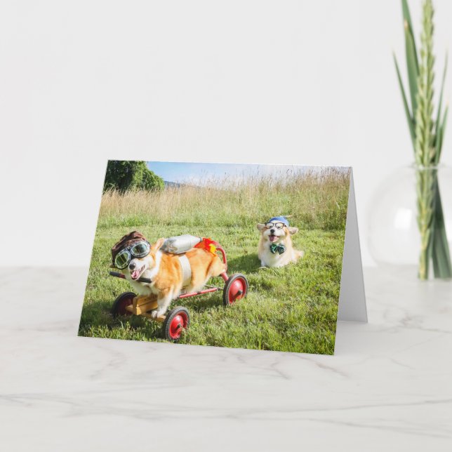 Scientist Corgis auf einem Hügel Blankogrüße Karte (Vorderseite)