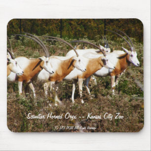 Scimitargehörntes Oryx mousepad