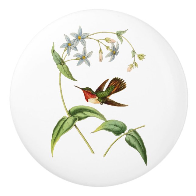 Scintillant Kolibri Keramikknauf (Vorderseite)