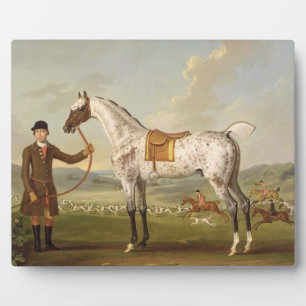 Scipio, Colonel Roche's Gefleckter Jäger, c.1750 ( Fotoplatte