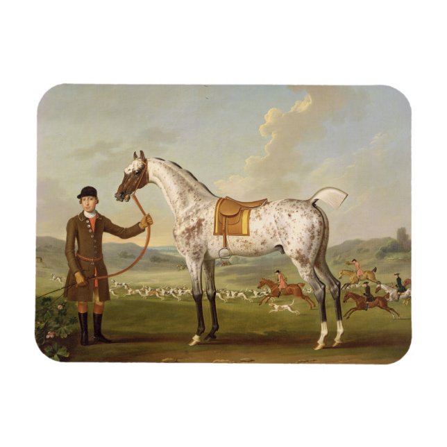 Scipio, Gepunkteter Jäger von Oberst Roche, c.1750 Magnet (Horizontal)