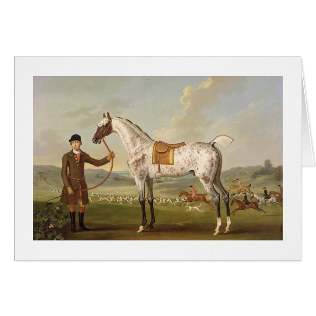 Scipio, Oberst Roches Spotted Hunter, c.1750 (oi (Vorderseite (Horizontal))