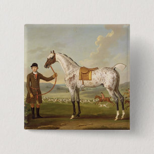 Scipio, Oberst Roches Spotted Hunter, c.1750 (oi Button