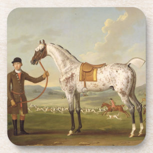 Scipio, Oberst Roches Spotted Hunter, c.1750 (oi Getränkeuntersetzer