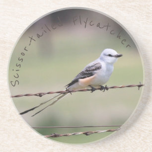 Scissor-angebundener Flycatcher-Untersetzer Untersetzer