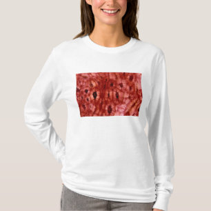 Sclerenchyma Zellen von einer Kirschgrube T-Shirt
