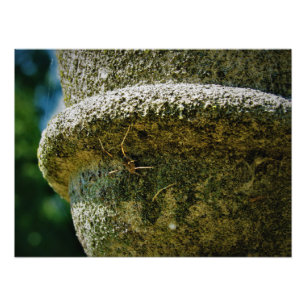 "SCOFIELD" FOTODRUCK