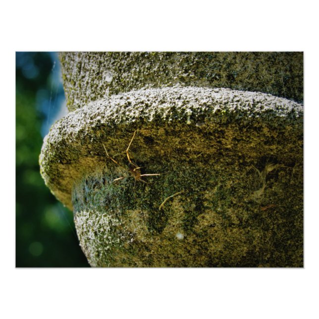"SCOFIELD" FOTODRUCK (Vorne)