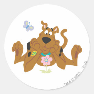Scooby-Doo Admiring-Blume Runder Aufkleber