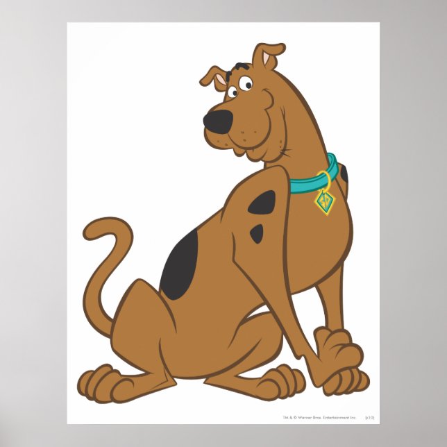 Scooby-Doo Bashful-Pose Poster (Vorne)
