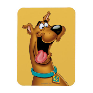 Scooby-Doo begeistert Magnet