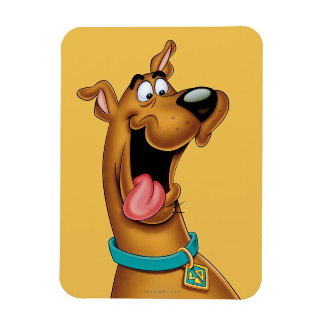 Scooby-Doo begeistert Magnet (Vertikal)