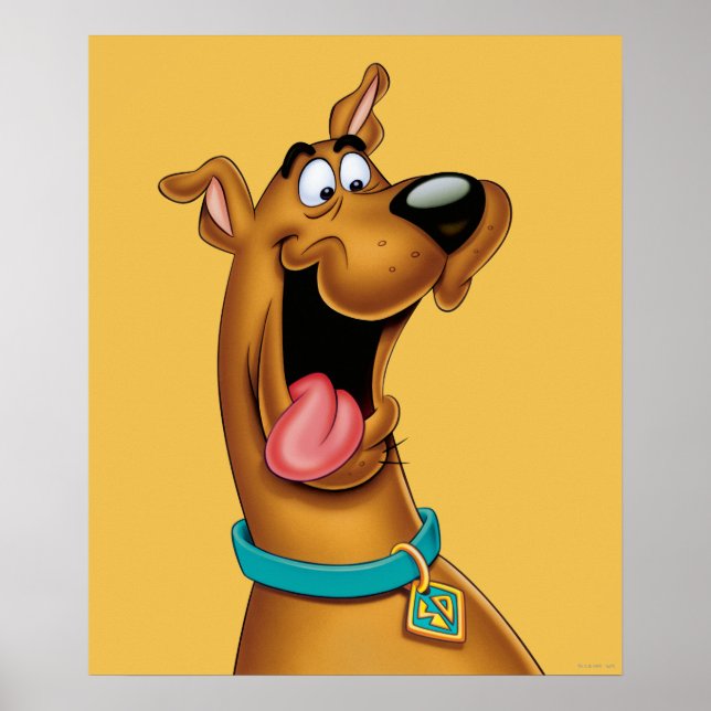 Scooby-Doo begeistert Poster (Vorne)