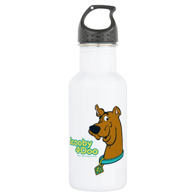 Scooby-Doo Blinzeln Edelstahlflasche (Vorderseite)