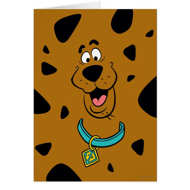 Scooby-Doo Camouflage (Vorne)