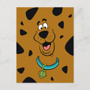 Scooby-Doo Camouflage Postkarte