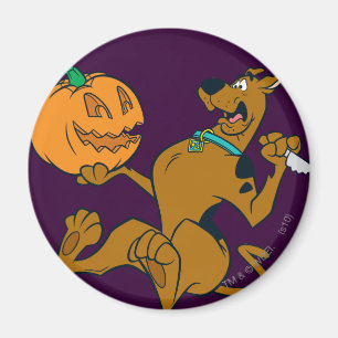 Scooby-Doo Carving Pumpkin Magnet
