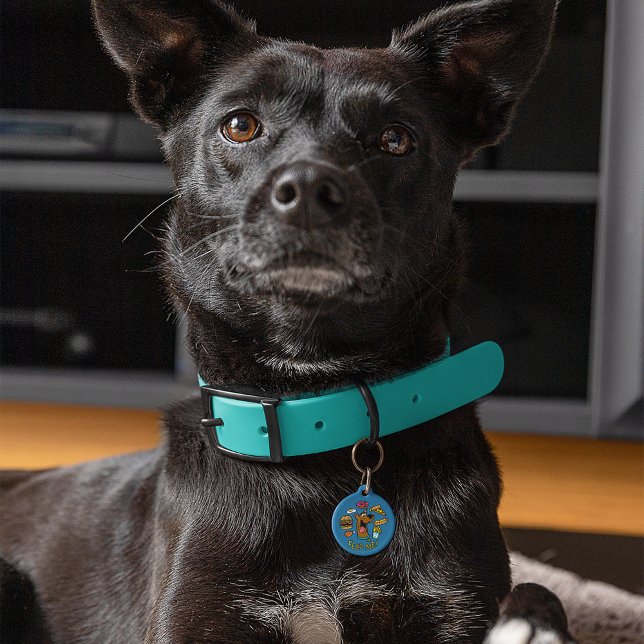 Scooby-Doo Fütterte mich! Haustiermarke (Von Creator hochgeladen)