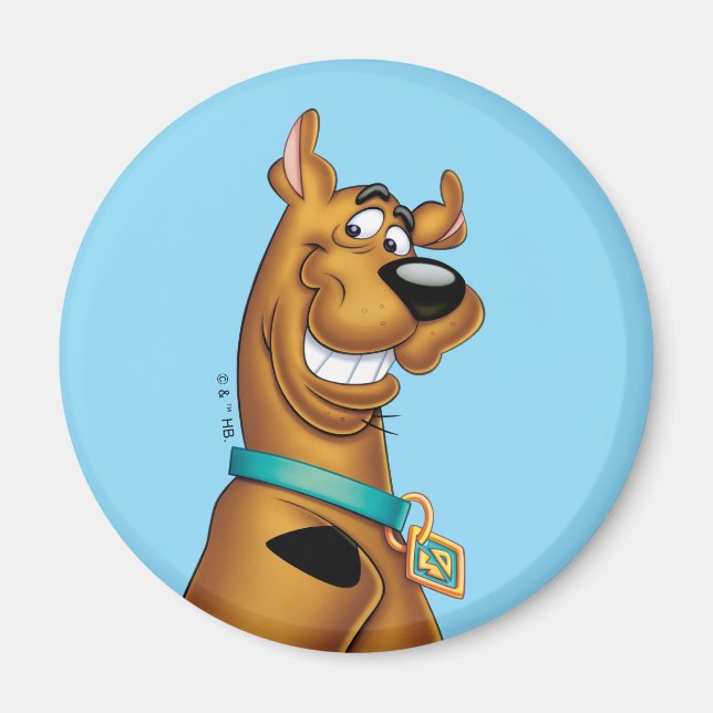Scooby-Doo Grin Magnet (Vorne)