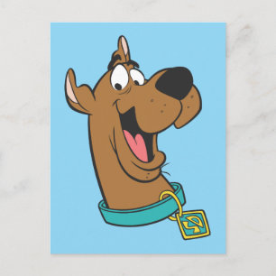 Scooby-Doo Happy Face Postkarte