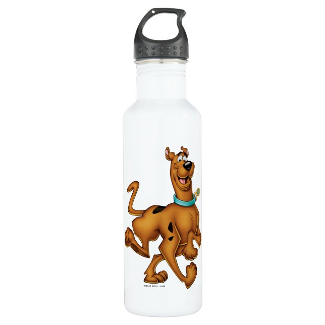 Scooby-Doo Happy Walk Edelstahlflasche (Vorderseite)