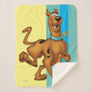 Scooby-Doo Happy Walk Sherpadecke