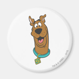 Scooby-Doo lächelnd Gesicht Magnet