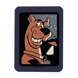 Scooby-Doo mit UFO Magnet