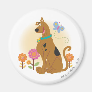 Scooby-Doo nach Butterfly Magnet