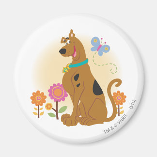 Scooby-Doo nach Butterfly Magnet