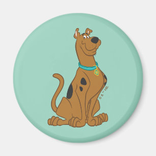 Scooby-Doo Niedlicher als Niedlich Magnet