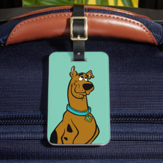 Scooby-Doo Puppy Eyes Gepäckanhänger