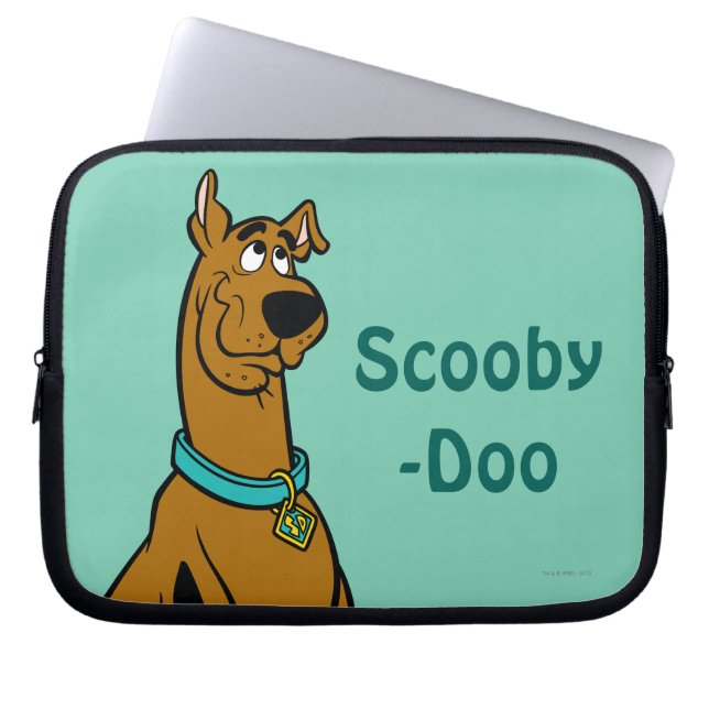 Scooby-Doo Puppy Eyes Laptopschutzhülle (Vorderseite)