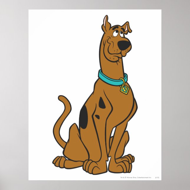 Scooby-Doo Puppy Eyes Poster (Vorne)