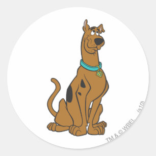 Scooby-Doo Puppy Eyes Runder Aufkleber