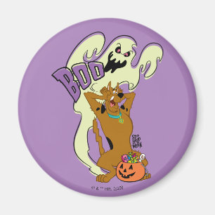 Scooby-Doo   Scooby-Doo Boo Magnet