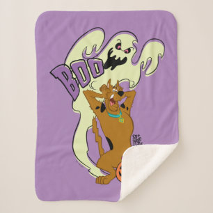 Scooby-Doo   Scooby-Doo Boo Sherpadecke